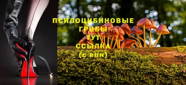 соль ск Белокуриха