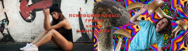 дурь Белоозёрский