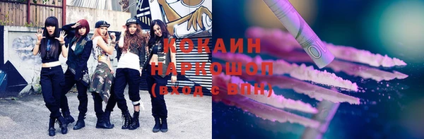 соль ск Белокуриха