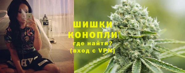 соль ск Белокуриха