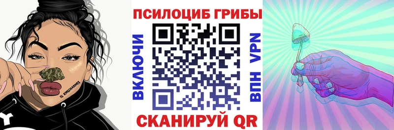 Псилоцибиновые грибы Psilocybine cubensis  сколько стоит  Куровское 